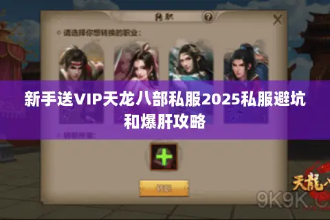 新手送VIP天龙八部私服2025私服避坑和爆肝攻略