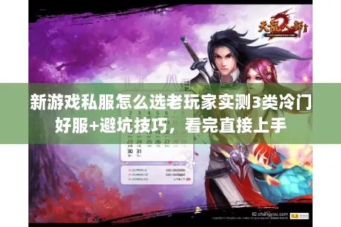 新游戏私服怎么选老玩家实测3类冷门好服+避坑技巧，看完直接上手