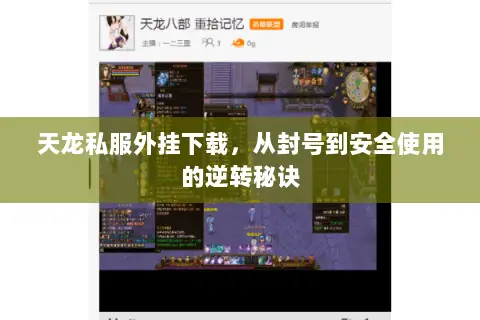 天龙私服外挂下载,从封号到安全使用的逆转秘诀 天龙私服外挂下载,从封号到安全使用的逆转秘诀