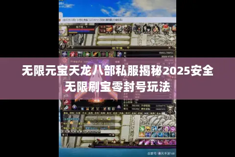 无限元宝天龙八部私服揭秘2025安全无限刷宝零封号玩法