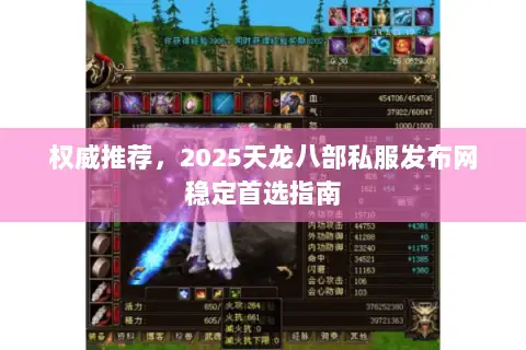 权威推荐,2025天龙八部私服发布网稳定首选指南 权威推荐,2025天龙八部私服发布网稳定首选指南