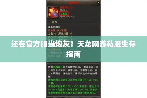 还在官方服当炮灰?天龙网游私服生存指南 还在官方服当炮灰?天龙网游私服生存指南