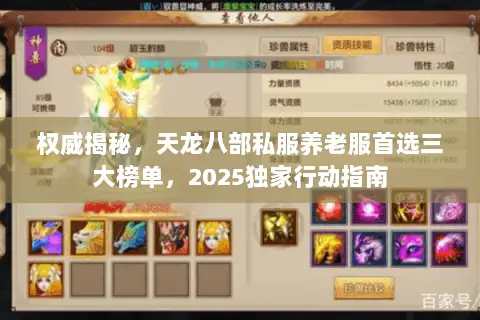 权威揭秘,天龙八部私服养老服首选三大榜单,2025独家行动指南 权威揭秘,天龙八部私服养老服首选三大榜单,2025独家行动指南