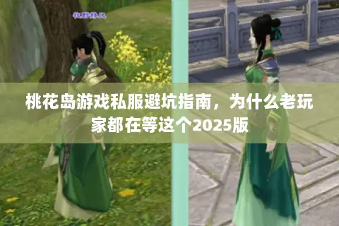桃花岛游戏私服避坑指南,为什么老玩家都在等这个2025版 桃花岛游戏私服避坑指南,为什么老玩家都在等这个2025版