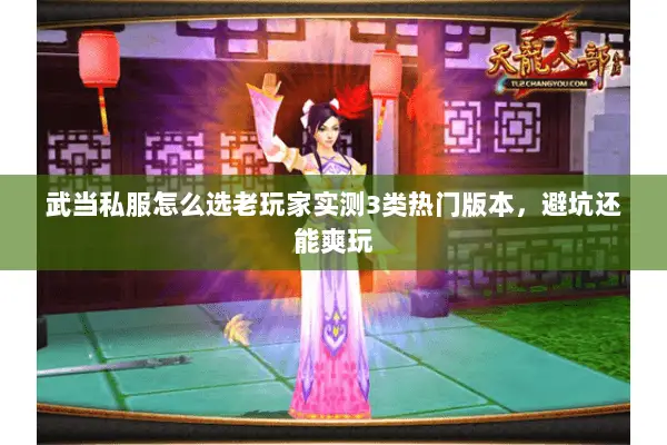 武当私服怎么选老玩家实测3类热门版本,避坑还能爽玩 武当私服怎么选老玩家实测3类热门版本,避坑还能爽玩