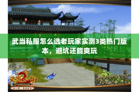 武当私服怎么选老玩家实测3类热门版本,避坑还能爽玩 武当私服怎么选老玩家实测3类热门版本,避坑还能爽玩