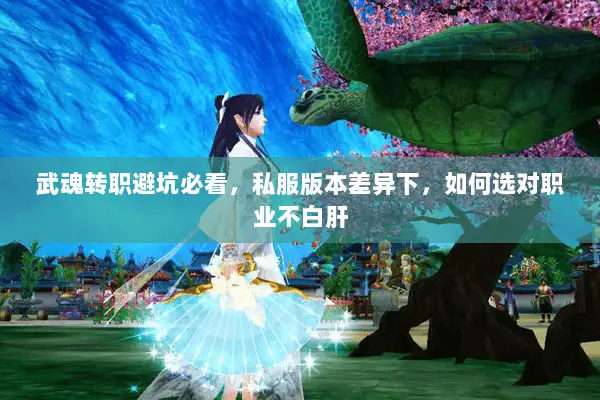 武魂转职避坑必看,私服版本差异下,如何选对职业不白肝 武魂转职避坑必看,私服版本差异下,如何选对职业不白肝