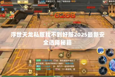浮世天龙私服找不到好服2025最新安全选择秘籍 浮世天龙私服找不到好服2025最新安全选择秘籍