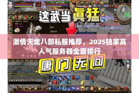 激情天龙八部私服推荐，2025独家高人气服务器全面排行