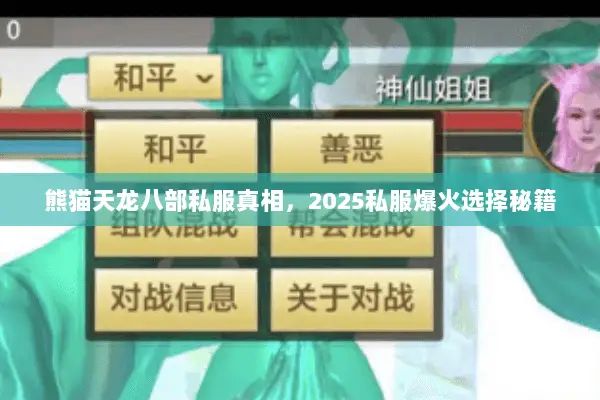 熊猫天龙八部私服真相,2025私服爆火选择秘籍 熊猫天龙八部私服真相,2025私服爆火选择秘籍