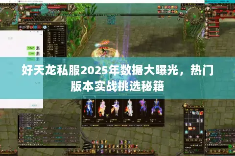好天龙私服2025年数据大曝光，热门版本实战挑选秘籍