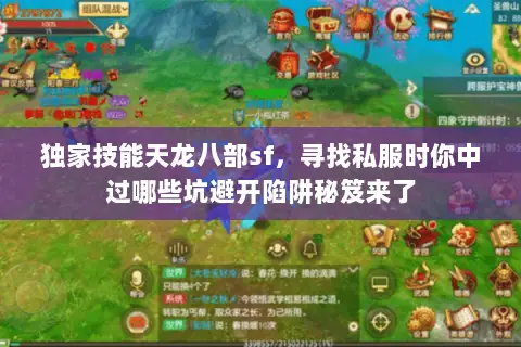 独家技能天龙八部sf，寻找私服时你中过哪些坑避开陷阱秘笈来了