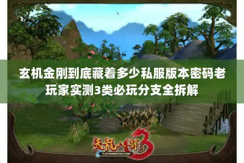 玄机金刚到底藏着多少私服版本密码老玩家实测3类必玩分支全拆解