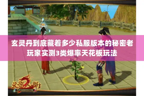 玄灵丹到底藏着多少私服版本的秘密老玩家实测3类爆率天花板玩法