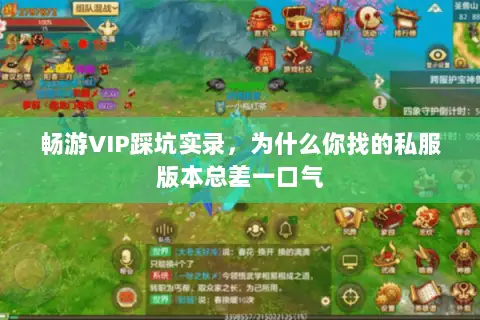 畅游VIP踩坑实录，为什么你找的私服版本总差一口气