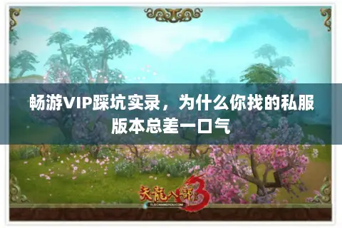 畅游VIP踩坑实录，为什么你找的私服版本总差一口气