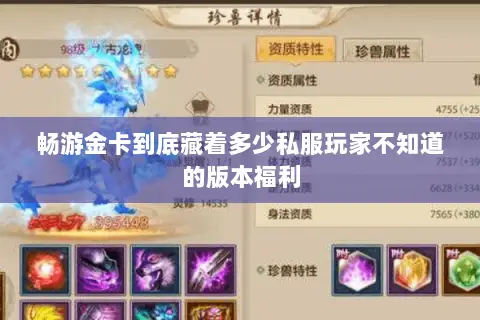 畅游金卡到底藏着多少私服玩家不知道的版本福利 畅游金卡到底藏着多少私服玩家不知道的版本福利