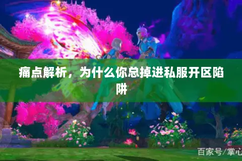 痛点解析，为什么你总掉进私服开区陷阱