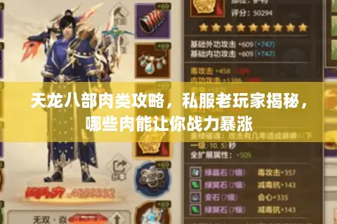 天龙八部肉类攻略，私服老玩家揭秘，哪些肉能让你战力暴涨