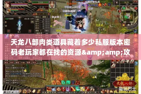 天龙八部肉类道具藏着多少私服版本密码老玩家都在找的资源&攻略全在这 天龙八部肉类道具藏着多少私服版本密码老玩家都在找的资源&攻略全在这