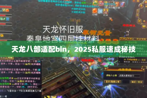 天龙八部适配bin,2025私服速成秘技 天龙八部适配bin,2025私服速成秘技