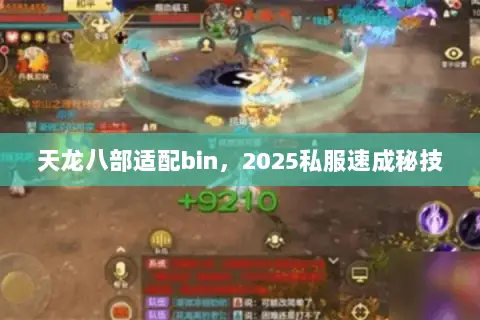 天龙八部适配bin,2025私服速成秘技 天龙八部适配bin,2025私服速成秘技