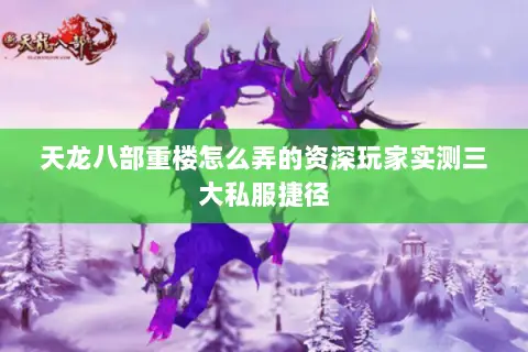 天龙八部重楼怎么弄的资深玩家实测三大私服捷径 天龙八部重楼怎么弄的资深玩家实测三大私服捷径