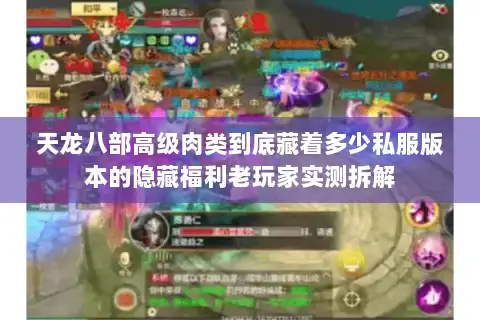 天龙八部高级肉类到底藏着多少私服版本的隐藏福利老玩家实测拆解 天龙八部高级肉类到底藏着多少私服版本的隐藏福利老玩家实测拆解