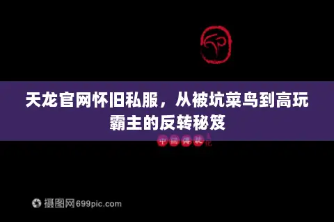 天龙官网怀旧私服,从被坑菜鸟到高玩霸主的反转秘笈 天龙官网怀旧私服,从被坑菜鸟到高玩霸主的反转秘笈