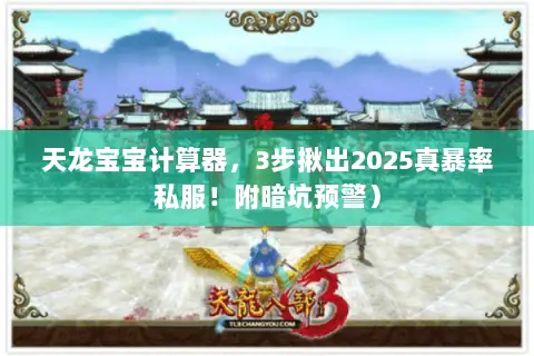 天龙宝宝计算器，3步揪出2025真暴率私服！附暗坑预警）