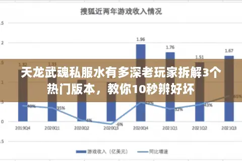 天龙武魂私服水有多深老玩家拆解3个热门版本，教你10秒辨好坏