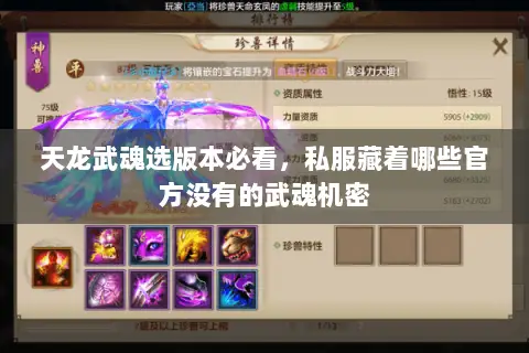 天龙武魂选版本必看,私服藏着哪些官方没有的武魂机密 天龙武魂选版本必看,私服藏着哪些官方没有的武魂机密