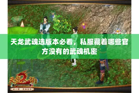 天龙武魂选版本必看,私服藏着哪些官方没有的武魂机密 天龙武魂选版本必看,私服藏着哪些官方没有的武魂机密