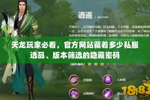天龙玩家必看，官方网站藏着多少私服选品、版本筛选的隐藏密码