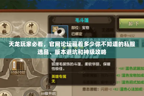天龙玩家必看,官网论坛藏着多少你不知道的私服选品、版本避坑和神级攻略 天龙玩家必看,官网论坛藏着多少你不知道的私服选品、版本避坑和神级攻略