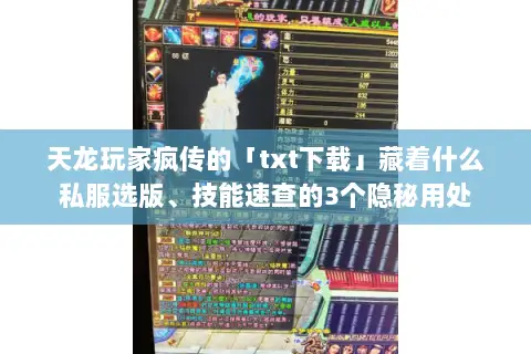 天龙玩家疯传的「txt下载」藏着什么私服选版、技能速查的3个隐秘用处 天龙玩家疯传的「txt下载」藏着什么私服选版、技能速查的3个隐秘用处