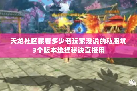 天龙社区藏着多少老玩家没说的私服坑3个版本选择秘诀直接用