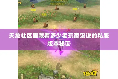 天龙社区里藏着多少老玩家没说的私服版本秘密 天龙社区里藏着多少老玩家没说的私服版本秘密