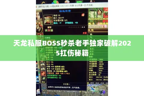 天龙私服BOSS秒杀老手独家破解2025扛伤秘籍 天龙私服BOSS秒杀老手独家破解2025扛伤秘籍