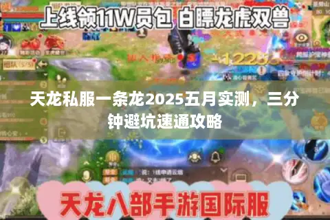 天龙私服一条龙2025五月实测,三分钟避坑速通攻略 天龙私服一条龙2025五月实测,三分钟避坑速通攻略