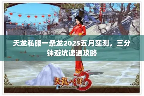 天龙私服一条龙2025五月实测,三分钟避坑速通攻略 天龙私服一条龙2025五月实测,三分钟避坑速通攻略