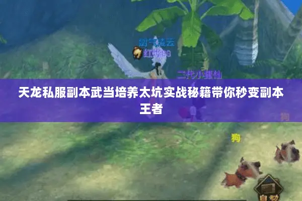 天龙私服副本武当培养太坑实战秘籍带你秒变副本王者