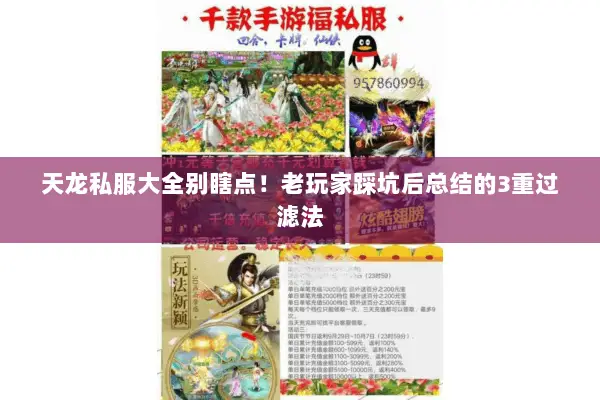 天龙私服大全别瞎点!老玩家踩坑后总结的3重过滤法 天龙私服大全别瞎点!老玩家踩坑后总结的3重过滤法