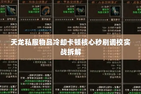 天龙私服物品冷却卡顿核心秒刷调校实战拆解