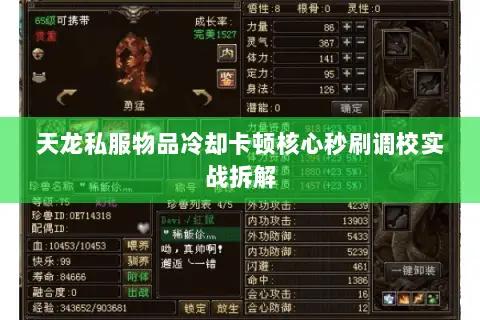 天龙私服物品冷却卡顿核心秒刷调校实战拆解