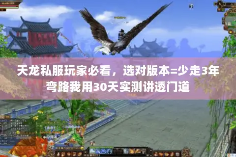 天龙私服玩家必看,选对版本=少走3年弯路我用30天实测讲透门道 天龙私服玩家必看,选对版本=少走3年弯路我用30天实测讲透门道