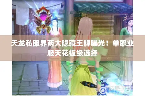 天龙私服界两大隐藏王牌曝光！单职业服天花板级选择