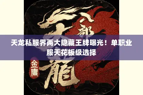 天龙私服界两大隐藏王牌曝光！单职业服天花板级选择