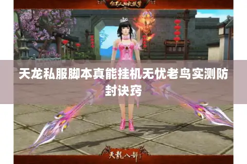 天龙私服脚本真能挂机无忧老鸟实测防封诀窍