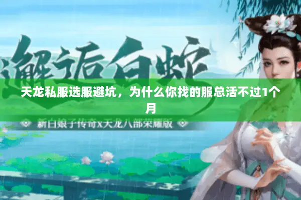 天龙私服选服避坑,为什么你找的服总活不过1个月 天龙私服选服避坑,为什么你找的服总活不过1个月